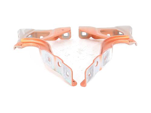 Used Hinge/Door check strap RENAULT CLIO V (B7_) 1.0 TCe 90 (B7MT) (91 hp) 29571015