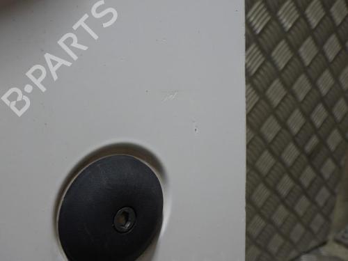 Left front door FORD TRANSIT CONNECT (P65_, P70_, P80_) 1.8 Di | BP24258109C2 