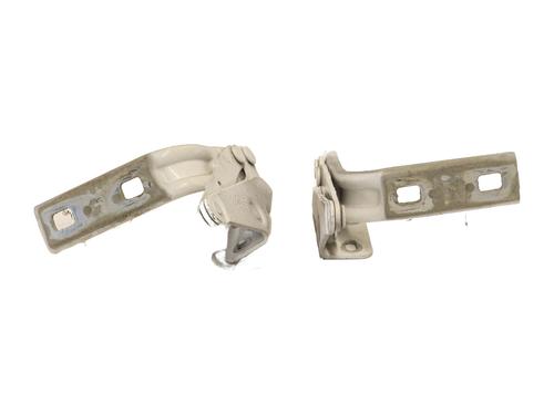Hinge/Door check strap RENAULT TRUCKS MASCOTT Van 120.35 (A02100003) | BP27587706C146