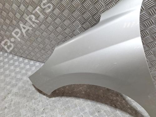 Left front fenders PEUGEOT 207 (WA_, WC_) 1.4 HDi | BP29402376C41 