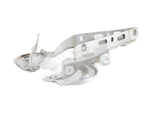 Hinge/Door check strap PEUGEOT 208 I (CA_, CC_) 1.4 HDi | BP29748262C146 