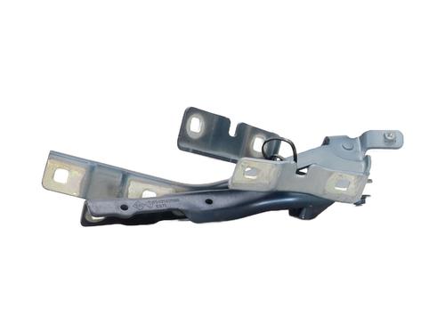 Hinge/Door check strap DACIA BIGSTER 1.2 TCe 130 4x4 (RYMW) | BP37747405C146 - Image 4
