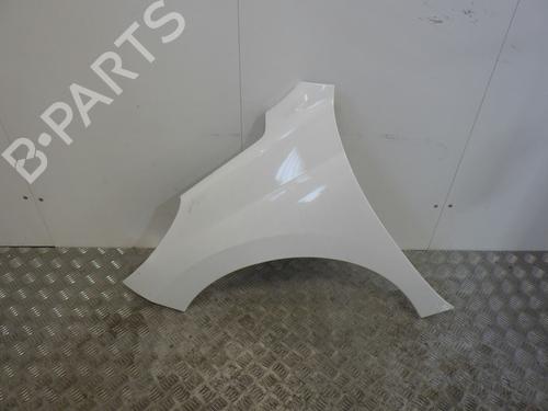 Used Left front fenders PEUGEOT 207 (WA_, WC_) 1.4 HDi (68 hp) 30085065