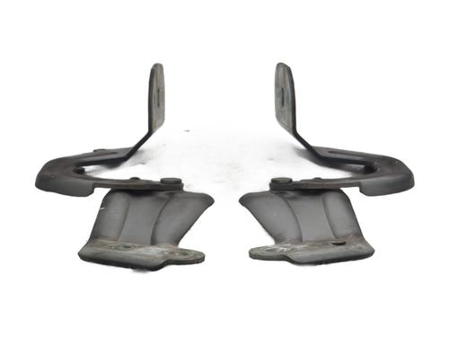 hingedoor-check-strap-ford-kuga-ii-dm2-2012-31357624 main image