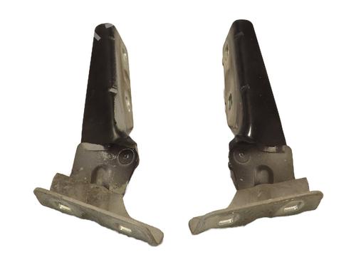 Hinge/Door check strap RENAULT MEGANE II (BM0/1_, CM0/1_) 1.5 dCi (BM1E, CM1E) | BP27359789C146 
