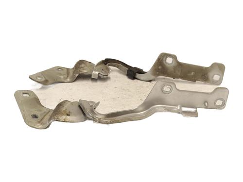 Hinge/Door check strap RENAULT CLIO III (BR0/1, CR0/1) 1.4 16V | BP27997287C146 