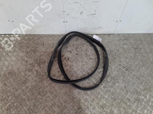 rubber-door-seal-renault-twingo-ii-cn0_-2007-31833199 main image
