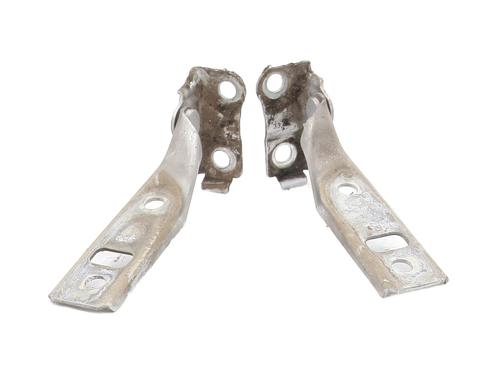 Used Hinge/Door check strap VW GOLF IV (1J1) 1.9 TDI (90 hp) 29202976