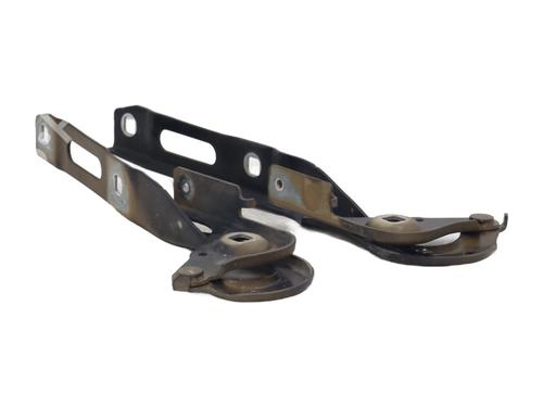 Used Hinge/Door check strap CITROËN BERLINGO (ER_, EC_) 1.5 BlueHDi 130 (ECYHZJ, ECYHZR) (131 hp) 31625586