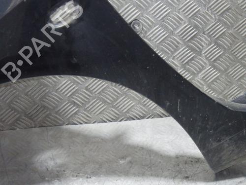 Left front fenders PEUGEOT 307 (3A/C) 2.0 HDi 110 | BP24253625C41 
