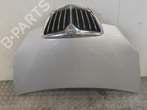 Used Hood Hood LANCIA MUSA (350_) 1.3 D Multijet (350.AXG11, 350.AXG1A) (90 hp) 36762687 36762687