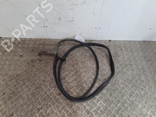 Gummiliste RENAULT TRAFIC III Van (FG_) 2.0 dCi 145 (FGML) (145 hp) 31916301