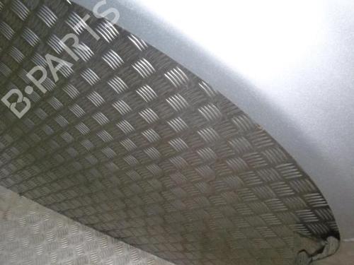 Left front fenders KIA CARNIVAL I (UP, FL) 2.9 TDi | BP24258421C41 