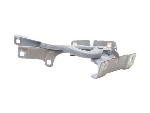 hingedoor-check-strap-renault-symbioz-2024-37747766 main image
