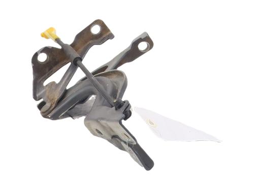 hingedoor-check-strap-hyundai-i10-ii-ba-ia-2013-2014-2015-2016-2017-2018-2019-2020-2021-39980479 main image