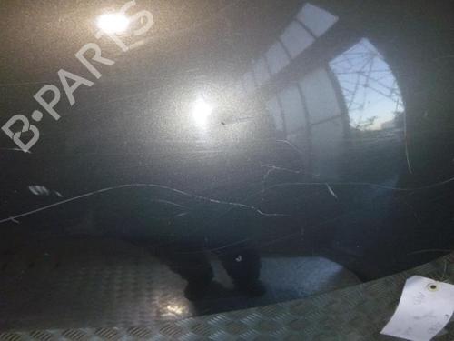 Right front fenders HYUNDAI SANTA FÉ I (SM) 2.0 CRDi 4x4 | BP24260891C42 