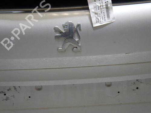 Tailgate PEUGEOT 207 SW (WK_) 1.6 HDi | BP28476322C6 
