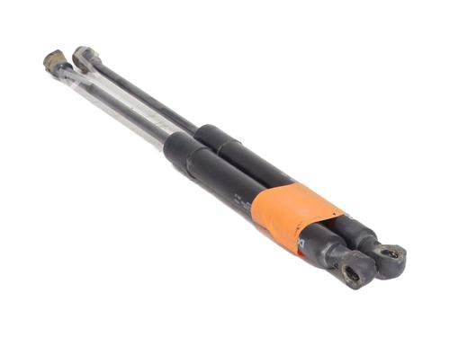 hood-lift-support-renault-kangoo-express-fw01_-2008-29847959 main image