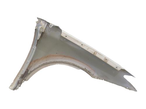 Forkjerm venstre Forkjerm venstre RENAULT LAGUNA III (BT0/1) 2.0 dCi (BT07, BT0J, BT14, BT1A, BT1S) (131 hp) 37608815 37608815