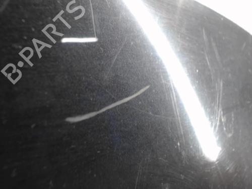 Hood RENAULT CLIO III (BR0/1, CR0/1) 1.6 16V (BR05, BR0B, BR0Y, BR15, BR1J, BR1M, BR1Y, CR0B,... | BP24255836C1 