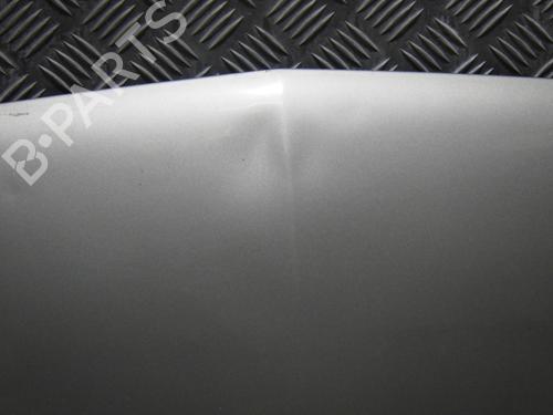Hood DACIA LOGAN (LS_) 1.5 dCi (LS0K) | BP29161779C1 