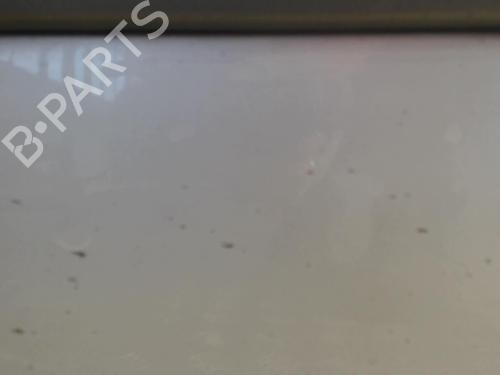 Left front door RENAULT MEGANE II (BM0/1_, CM0/1_) 1.9 dCi (BM0G, CM0G) | BP24261612C2 