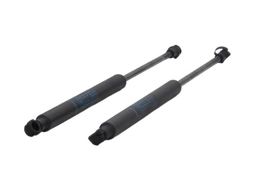 Tailgate lift support RENAULT TWINGO II (CN0_) 1.6 RS (CN0N, CN0R, CN0S) | BP31625559C138