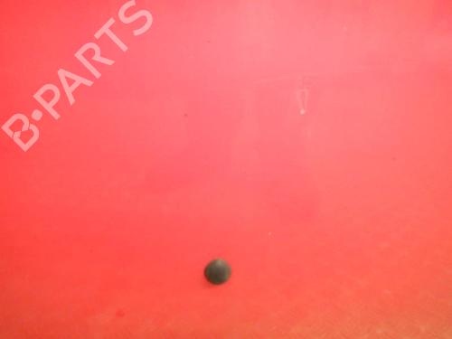 Hood RENAULT CLIO III (BR0/1, CR0/1) 1.5 dCi (C/BR0G, C/BR1G) | BP24258481C1 