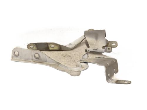 Hinge/Door check strap RENAULT CLIO IV (BH_) 1.5 dCi 90 | BP26743261C146 
