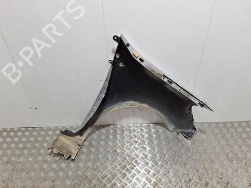 Left front fenders RENAULT CLIO III (BR0/1, CR0/1) 1.5 dCi (BR17, CR17) | BP29847922C41