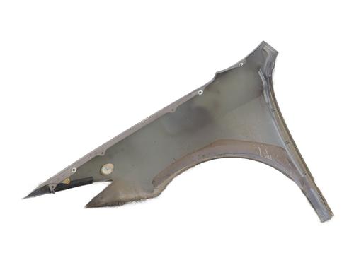 Guarda-lamas direito Guarda-lamas direito RENAULT LAGUNA Coupe (DT0/1) 2.0 dCi (DT01, DT08, DT09, DT0K, DT12, DT1C, DT1D, DT1M,... (150 hp) 35796020 35796020