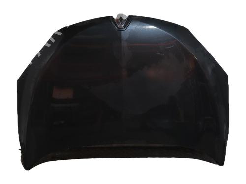 hood-renault-megane-iii-hatchback-bz01_-b3_-2008-37250142 main image