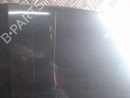 Used Hood RENAULT CLIO III (BR0/1, CR0/1) 1.5 dCi (C/BR0G, C/BR1G) (68 hp) 24261531