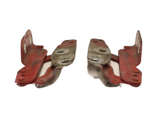 hingedoor-check-strap-ford-fiesta-vi-cb1-ccn-2008-27719760 main image