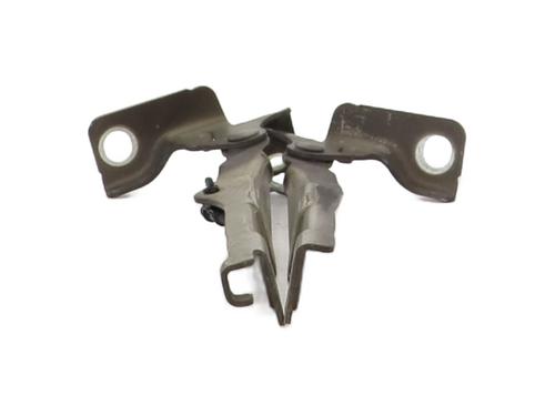 hingedoor-check-strap-citroen-c3-ii-sc_-2009-34500952 main image