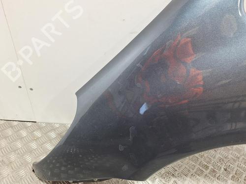 Left front fenders CITROËN XSARA PICASSO (N68) 1.6 HDi | BP29847901C41