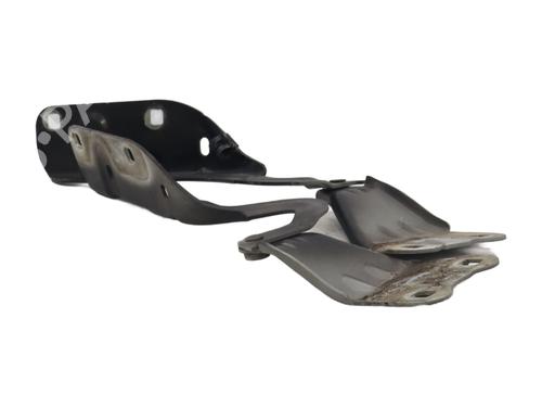 Hinge/Door check strap RENAULT TWINGO II (CN0_) 1.5 dCi (CN0E) | BP31833174C146