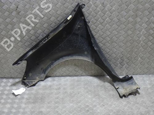 Right front fenders RENAULT CLIO III (BR0/1, CR0/1) 1.5 dCi (C/BR0G, C/BR1G) | BP28493992C42