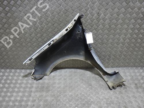 Right front fenders RENAULT CLIO III (BR0/1, CR0/1) 1.5 dCi (C/BR0G, C/BR1G) | BP29253750C42 