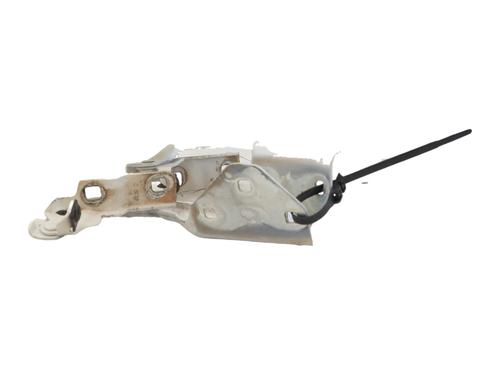 Hinge/Door check strap DACIA DUSTER (HM_) 1.5 dCi 115 (HMAD) | BP39214113C146 - Image 4