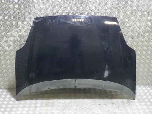 Used Hood FIAT GRANDE PUNTO (199_) 1.2 (65 hp) 29315890