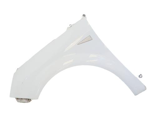 left-front-fenders-renault-grand-scenic-ii-jm01_-2004-2005-2006-2007-2008-2009-36647971 main image
