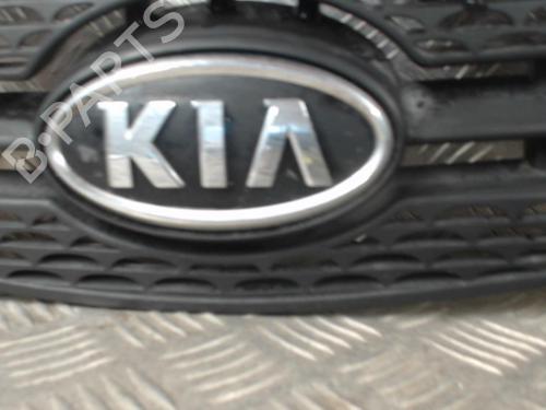 Grill Grill KIA RIO II (JB) 1.5 CRDi (110 hp) 24255552 24255552