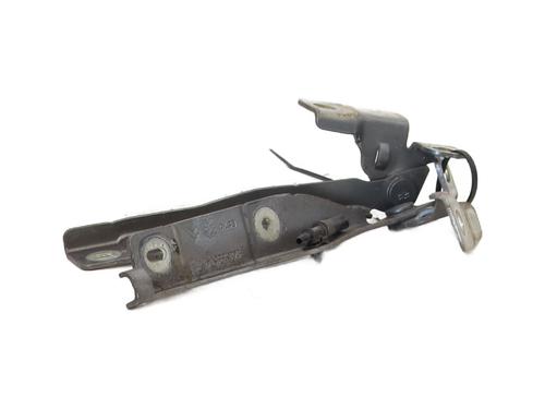 hingedoor-check-strap-citroen-c3-ii-sc_-2009-34707585 main image
