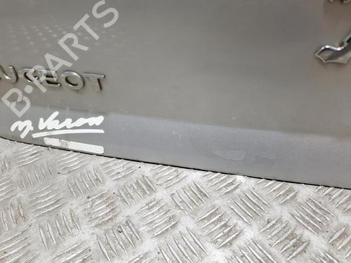 Bakluke CC/Kombi-Kupé PEUGEOT 407 (6D_) 2.0 HDi (6DRHRH) | BP29340073C6