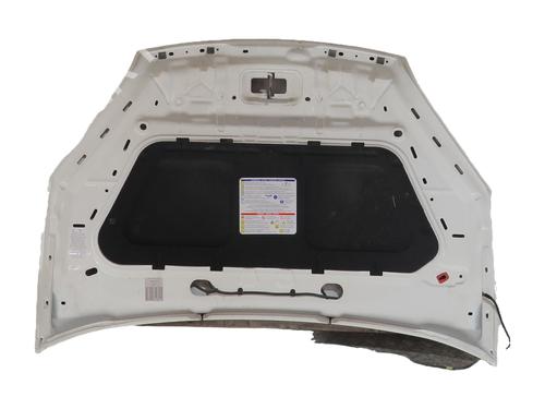 hood-fiat-doblo-cargo-263_-2010-37466671 main image