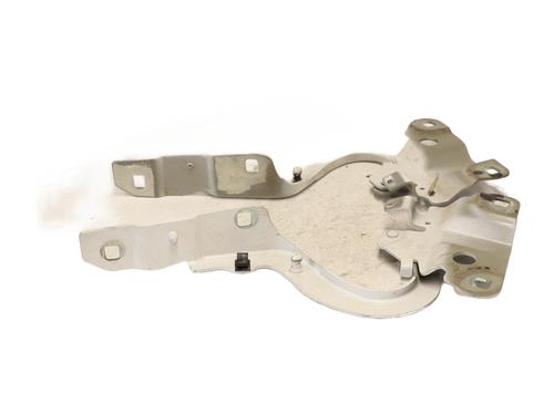 Hinge/Door check strap RENAULT ZOE (BFM_) ZOE (BFMC, BFMD) | BP28060293C146 