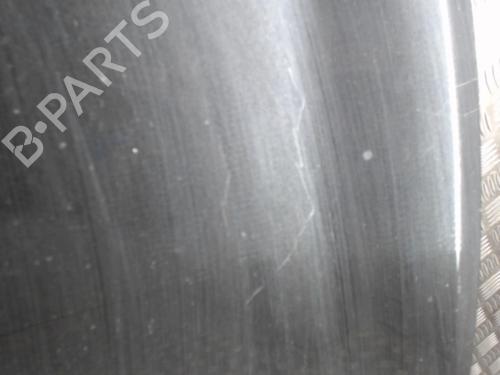 Hood RENAULT CLIO III (BR0/1, CR0/1) 1.6 16V (BR05, BR0B, BR0Y, BR15, BR1J, BR1M, BR1Y, CR0B,... | BP24255836C1 