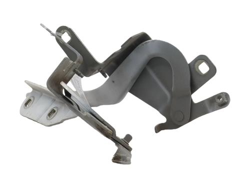 Used Hinge/Door check strap Hinge/Door check strap RENAULT CLIO IV (BH_) 1.5 dCi 75 (75 hp) 39664579 39664579