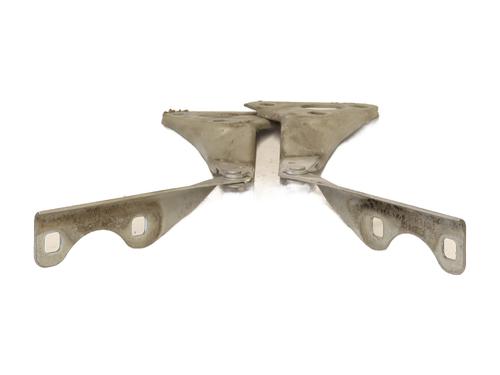 Used Hinge/Door check strap OPEL ZAFIRA A MPV (T98) 2.2 DTI 16V (F75) (125 hp) 29007149